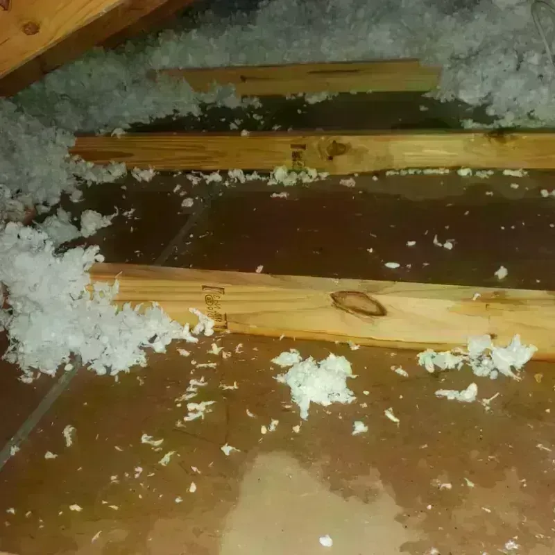 Attic Water Damage in Garrett, WA