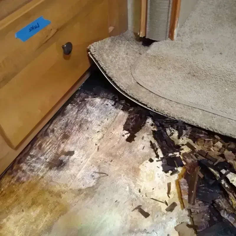 Wood Floor Water Damage in Garrett, WA